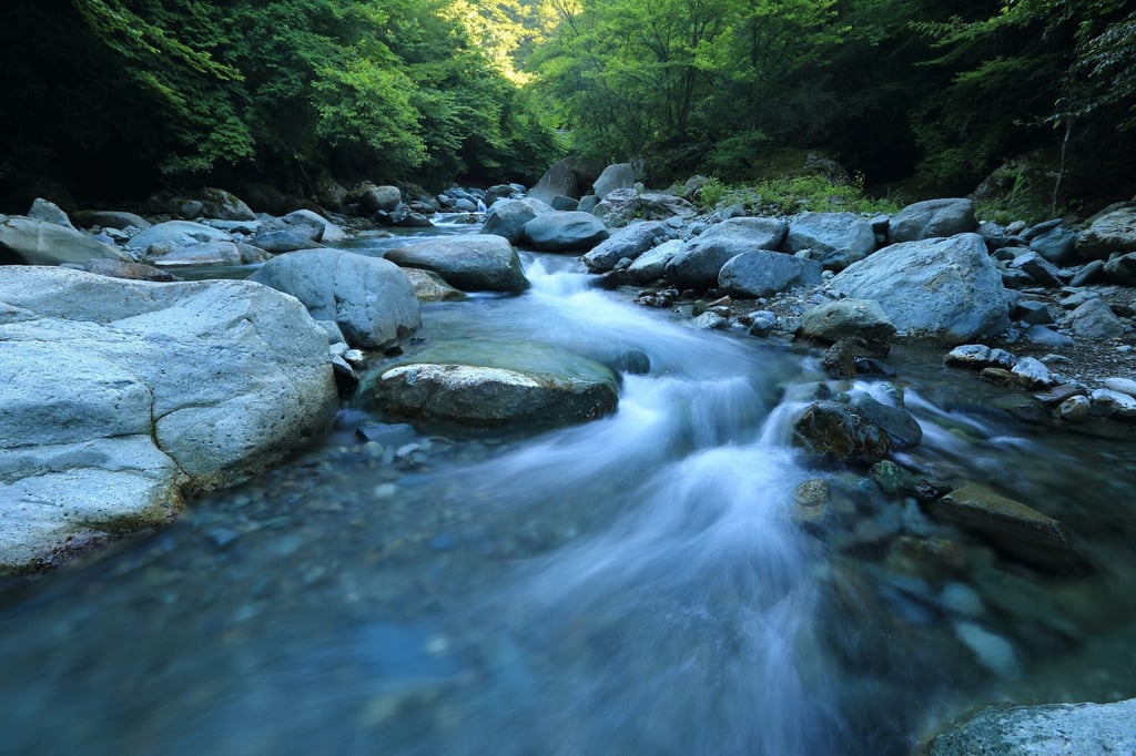 A serene flowing river meanders through a rocky bed, surrounded by lush green trees on either side. The water is clear, reflecting the colors of its surroundings, while smooth stones create gentle ripples as the current flows over them.